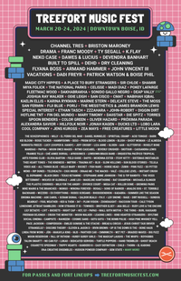 Tree Fort Music Fest - How Strange it is. 