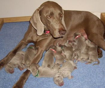 2 days old...

