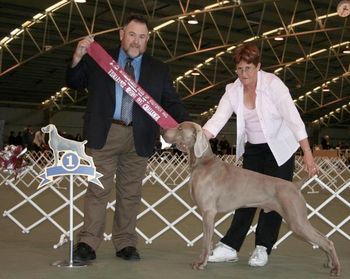 Res Dog CC - WCV Inc Speciality Show 2006
