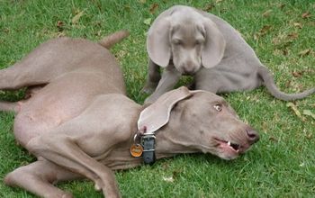 Playing with Mum...
