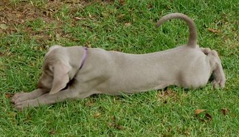 Having a big stretch...
