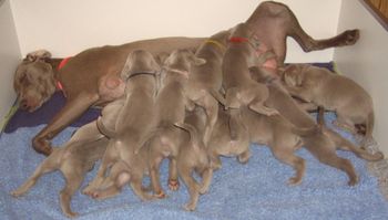 Feed time yet again !
