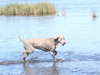 A playful Demi having time out for a bit of fun...
