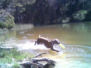 Having fun in the dam...
