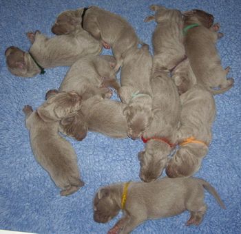 6 days old...
