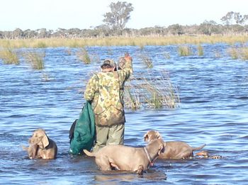 The gang, helping Chris put out the decoys...
