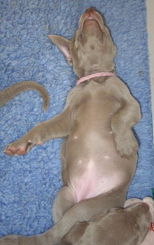 Pink Girl chilling out...
