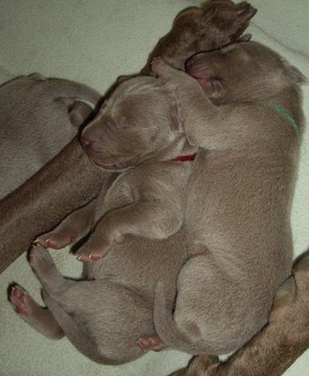 5 days old..
