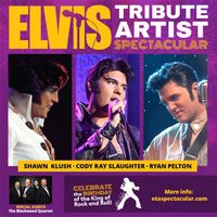 Elvis Tribute Artist Spectacular Birthday Tour - Cleveland