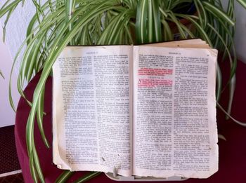 Highlighting the references to Elim in Exodus.
