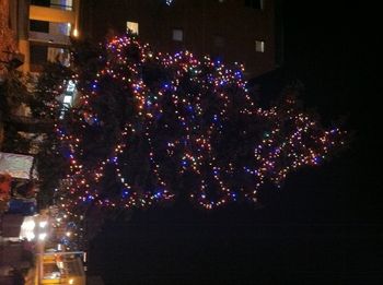 Merry Christmas, everyone!
