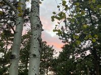 IGNITE Soulful Sunset Celebration