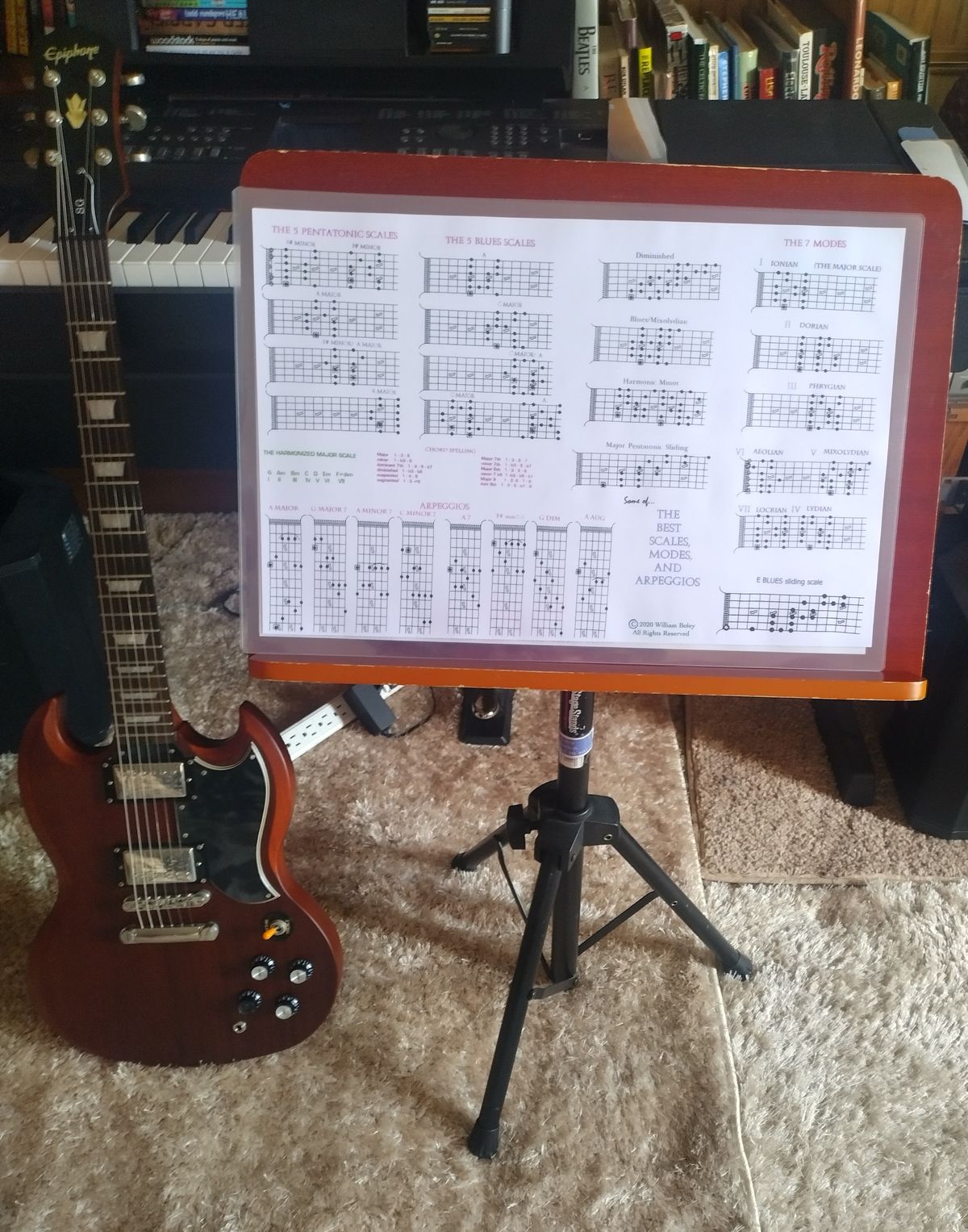 SCALE poster