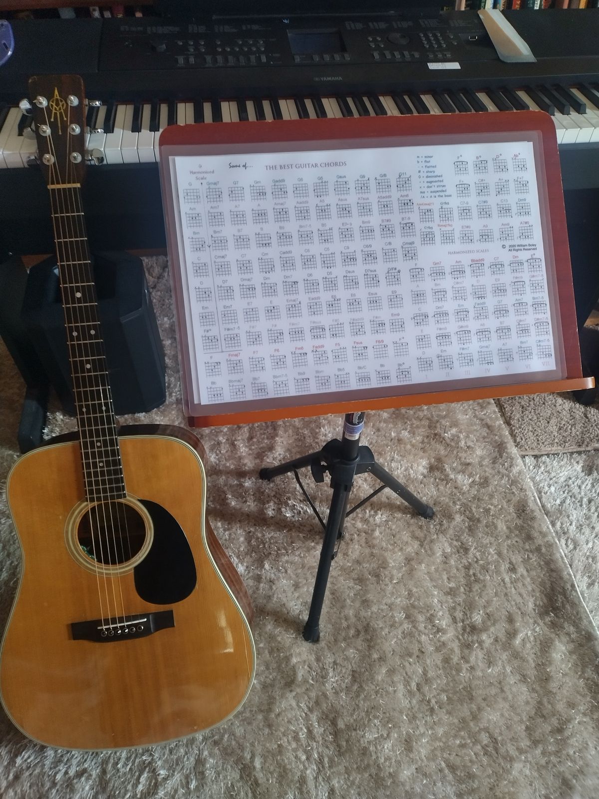 CHORD poster