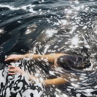 Light and Matter by Caroline Marie Brooks