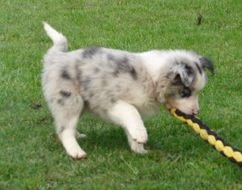 Play time
