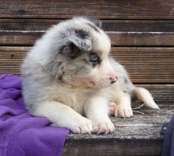awww
