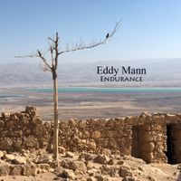 Endurance (Instrumental Tracks) by Eddy Mann