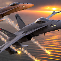 THE F-18 FIGHTER by ROH D ROC