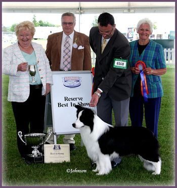 Res.BIS Southern Counties 2009
