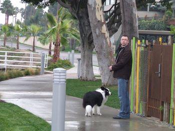 Walkies !!
