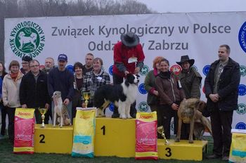 Tonkory Xtra Special winning BIS in Poland
