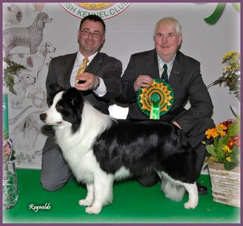 B.I.S @ IKC Championship Show, March 2009
