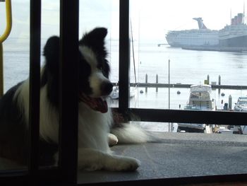 Enjoying the view ...

