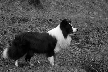 Tonkory Take over Borderbeck (photo by Laura Wiltshire)
