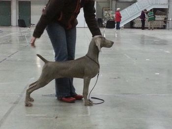 Arwen 5mths old
