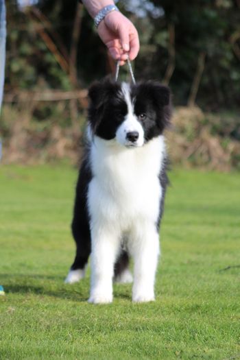 "Roo" 6mths old
