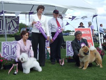 Morag awarding Best in Show at The Irish Ladies Kennel Association All Breed Championship Show 2010
