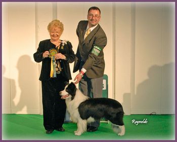 Group 4,Crufts 2009, Judge Brenda Banbury
