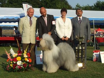 Morag awarding Best in Show at Debrecen International CACIB Show, Hungary 2011
