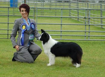 Tonkory Tickle My Fancy winning her first CC, BOB & Groups 3 @ Border Union Champ.Show 2011
