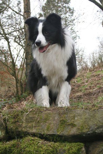 Tonkory Take Over Borderbeck (photo by Laura Wiltshire)
