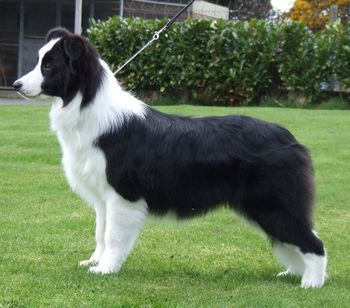 Tonkory Xpected At Huntly @ 6mths
