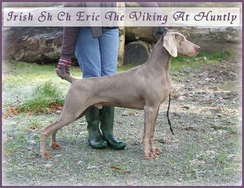 Sh.Ch.Eric the Viking at Huntly Annual Ch.2004, 3 CACIB's, Group winner
