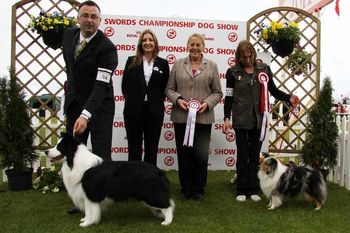 Photo by Joyce Crawford Manton. Shane Group 1 @ Swords & Dist. Champ.Show 2011
