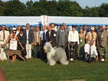 Morag's Best in Show line up at Debrecen International CACIB Show, Hungary 2011
