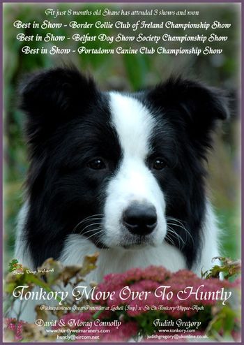 Front Cover of Showdogs Ireland magazine 2007
