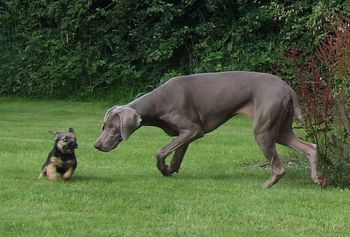 Velma having fun!!
