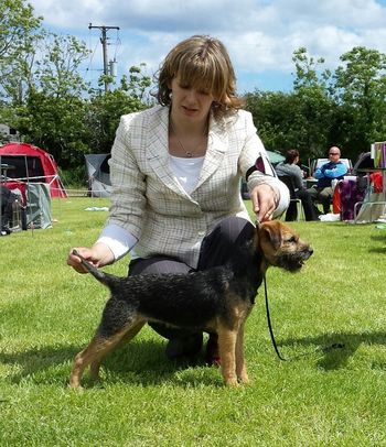 Green Star Bitch @ 13mths old..Swords 2013
