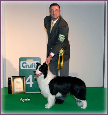 Group 4, Crufts 2009
