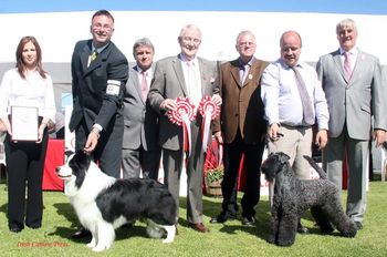 BIS at Swords & District Championship Show 2010
