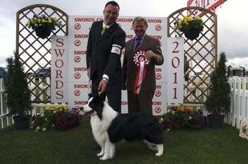 Photo by Joyce Crawford Manton. Shane BIS @ Swords & Dist. Champ.Show 2011
