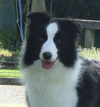 Tonkory Xpected At Huntly
