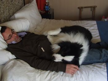 Siesta ..
