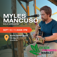 Beacon Farmers Market - Solo Acoustic