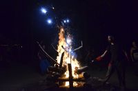 Autumn Fires 
